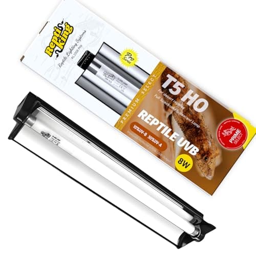ReptiKing T5 UVB Reptile Light Review – 8W Desert Lamp Tested