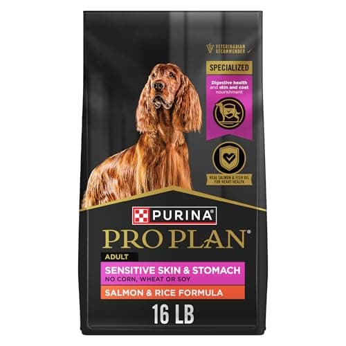 Purina Pro Plan Sensitive Dog Food Review – Salmon & Rice Formula Tested