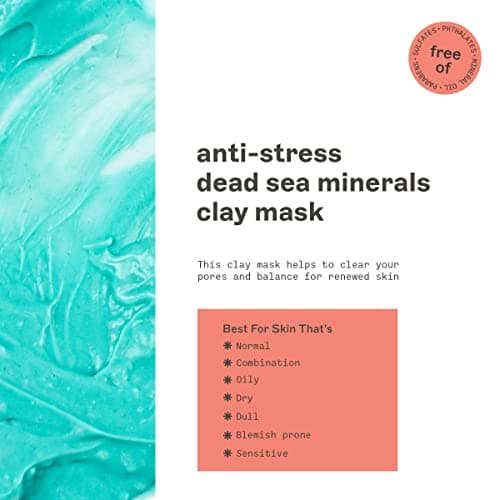 Freeman Anti-Stress Clay Mask, Dead Sea Mineral Face Mask, Lavender & Sea Salt Balance & Calm Skin, Unclog Pores, Facial Mask For All Skin Types, No Harsh Chemicals, 6 fl. oz./175 ml Tube, 1 Count