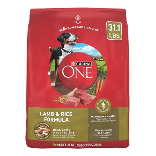 Purina ONE Lamb and Rice Dog Food Review – Is It Worth It?
