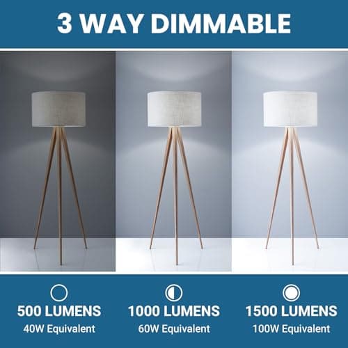 TJOY 3 Way Light Bulbs 40 60 100 Equivalent Daylight White 5000K, Dimmable A19 Three Way Light Bulbs E26 Medium Base, 4/8/12W Energy Saving UL Listed for Floor Lamp, Desk Lamp and Table Lamp, 2 Pack