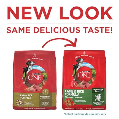 Purina ONE Dry Dog Food Lamb and Rice Formula - 31.1 lb. Bag