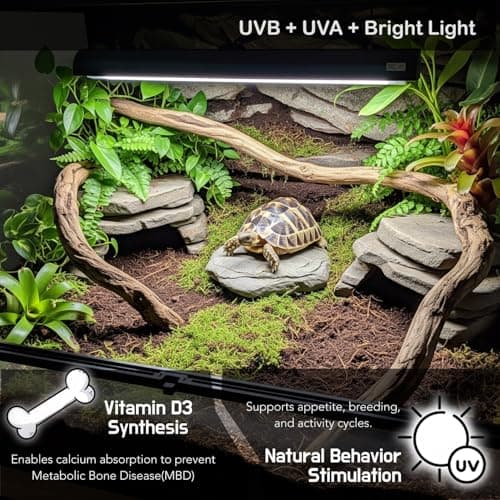 ReptiKing Upgraded T5 UVB Reptile Light, 10.0 UVB 8W German Made Fluorescent Lamp and Fixture Kit, for Desert-Dwelling Reptiles, Bearded Dragon,Tortoise, Snake, Strip Linear UVB Lamp Bulb,12 Inch